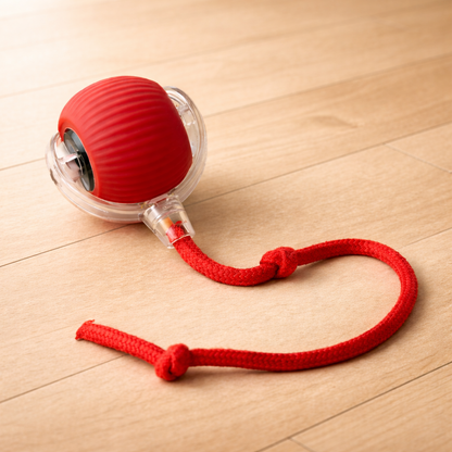 Interactive Ball