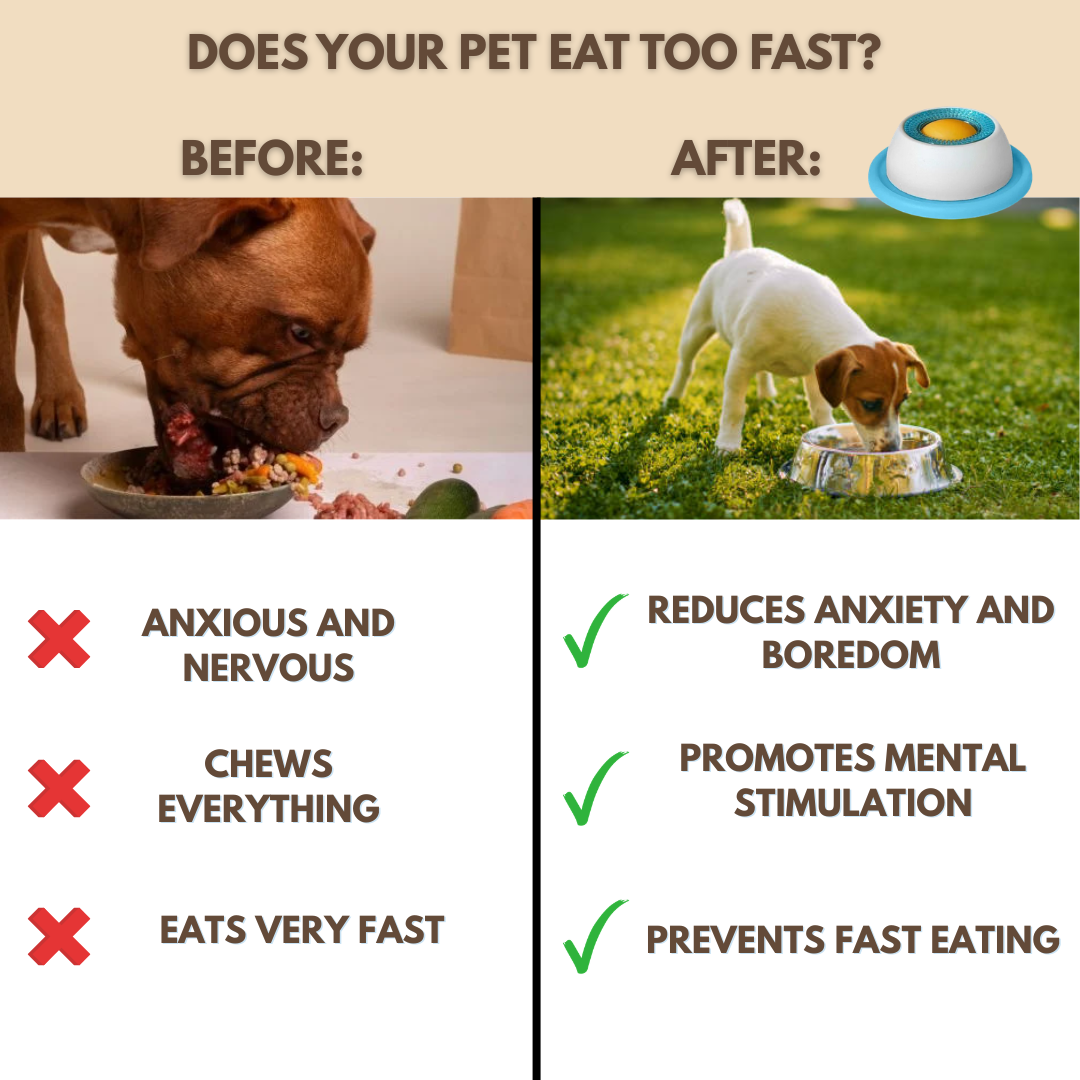 Anti-Stress Bowl