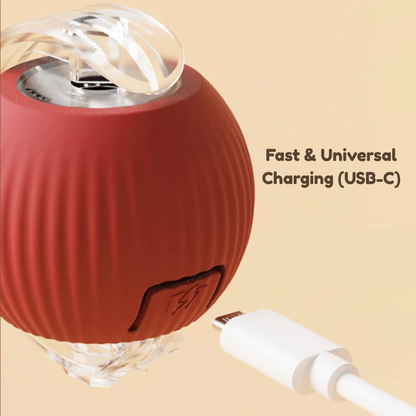 Interactive Ball