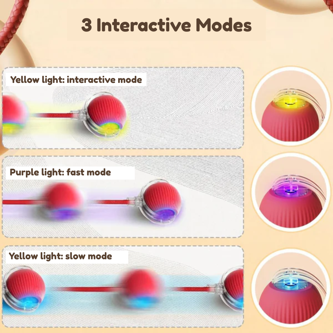 Interactive Ball