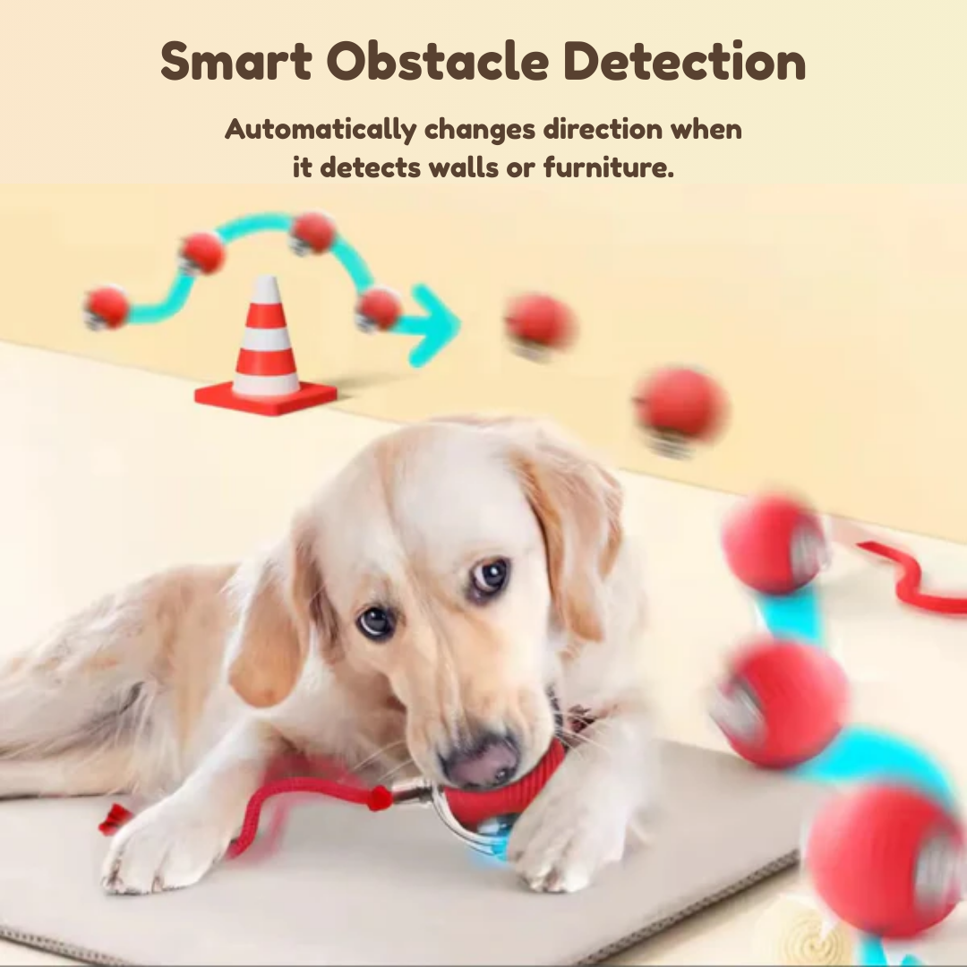 Interactive Ball