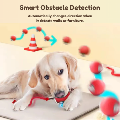 Interactive Ball